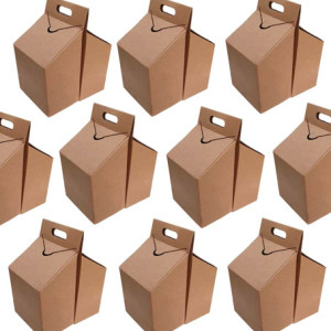 Alforjas y cestas de carton